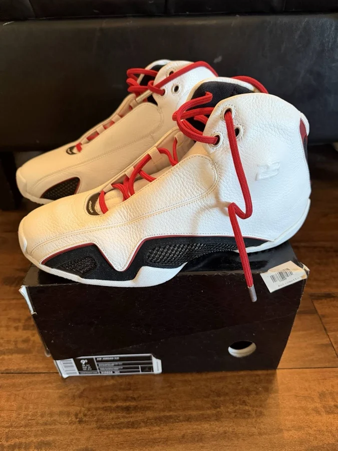 Air Jordan 21