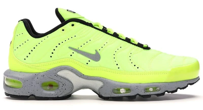 Nike Air Max Plus Low-top Sneakers