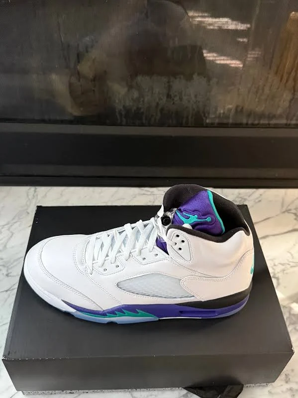 The Jordan 5 Retro Grape 2025(12M)