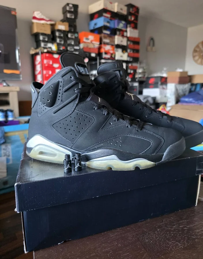 Air Jordan 6 Chrome Size 10