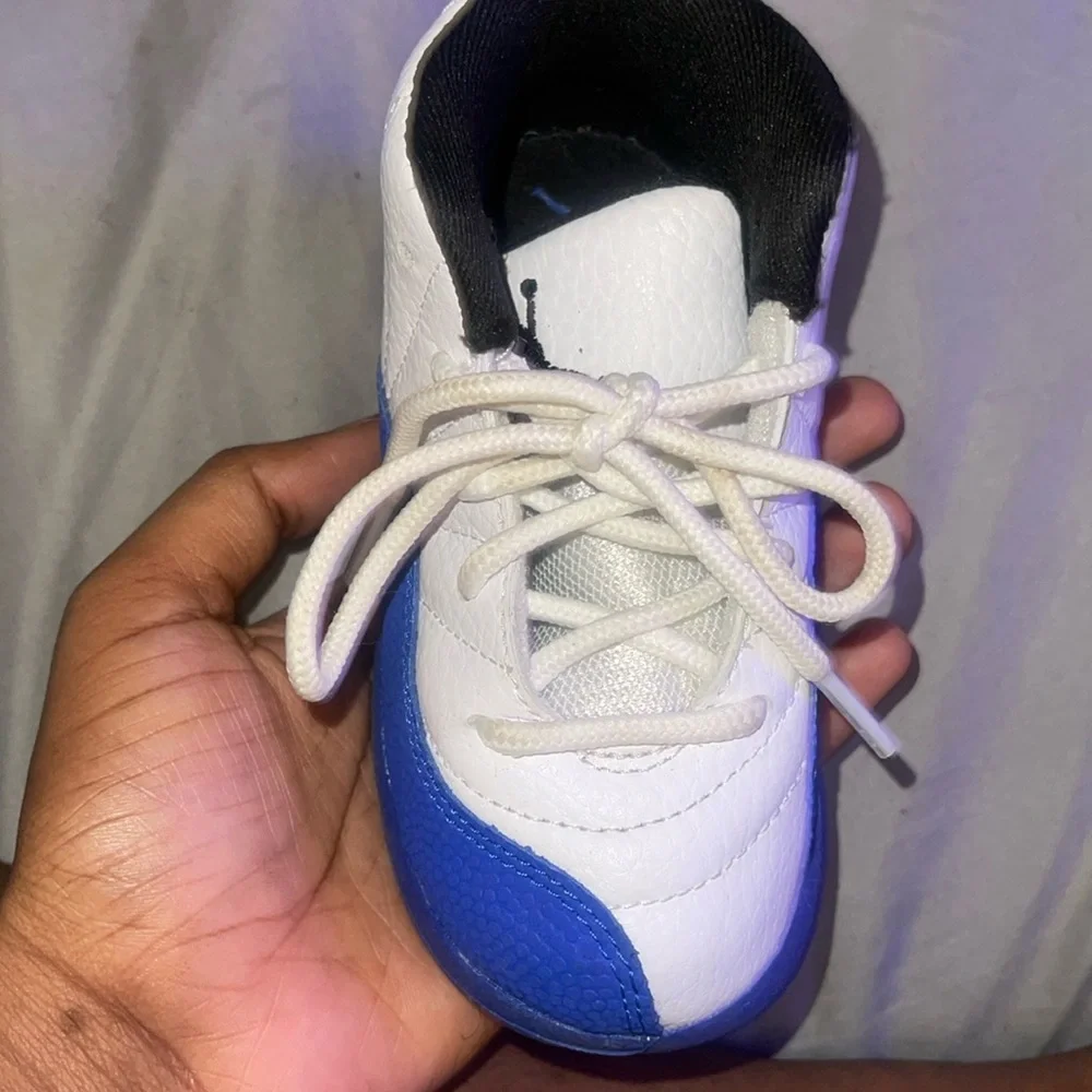 Blueberry Jordan 12s