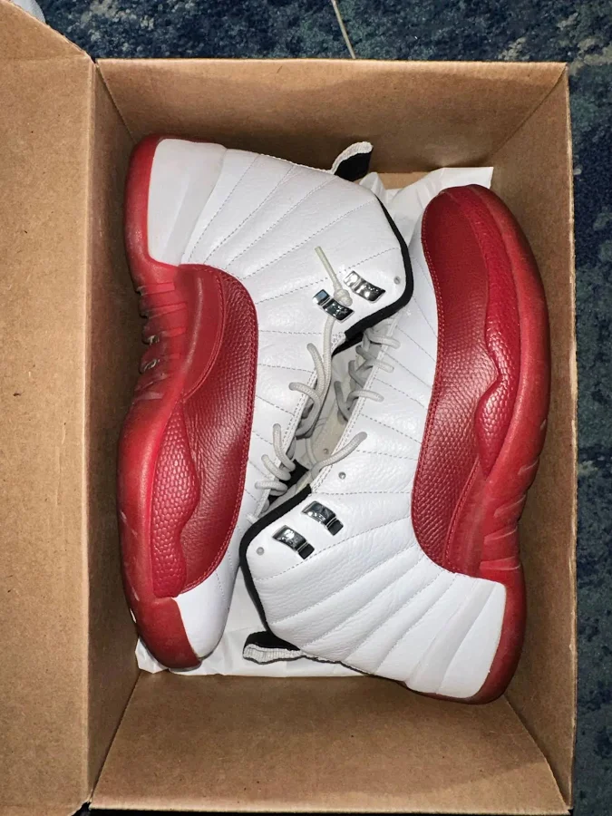 Jordan 12 cherry 20091