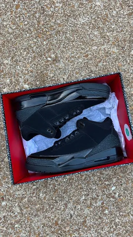 Jordan 3 black cat1