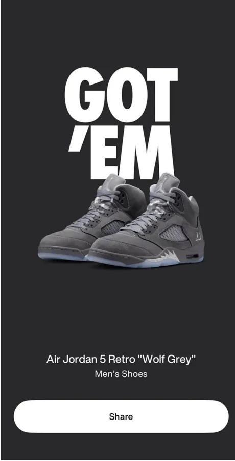 Jordan 5 Wolf Grey