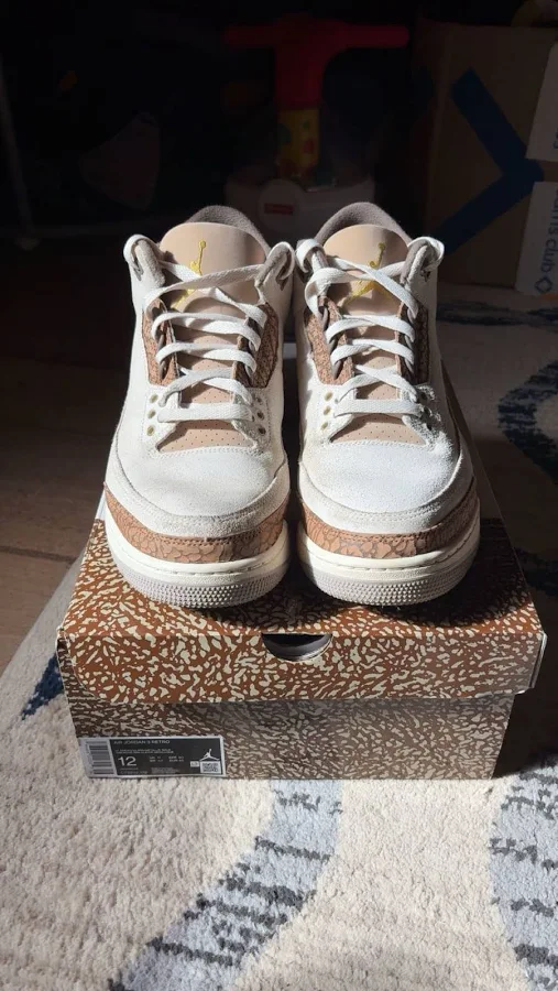 Jordan 3 Retro Palomino