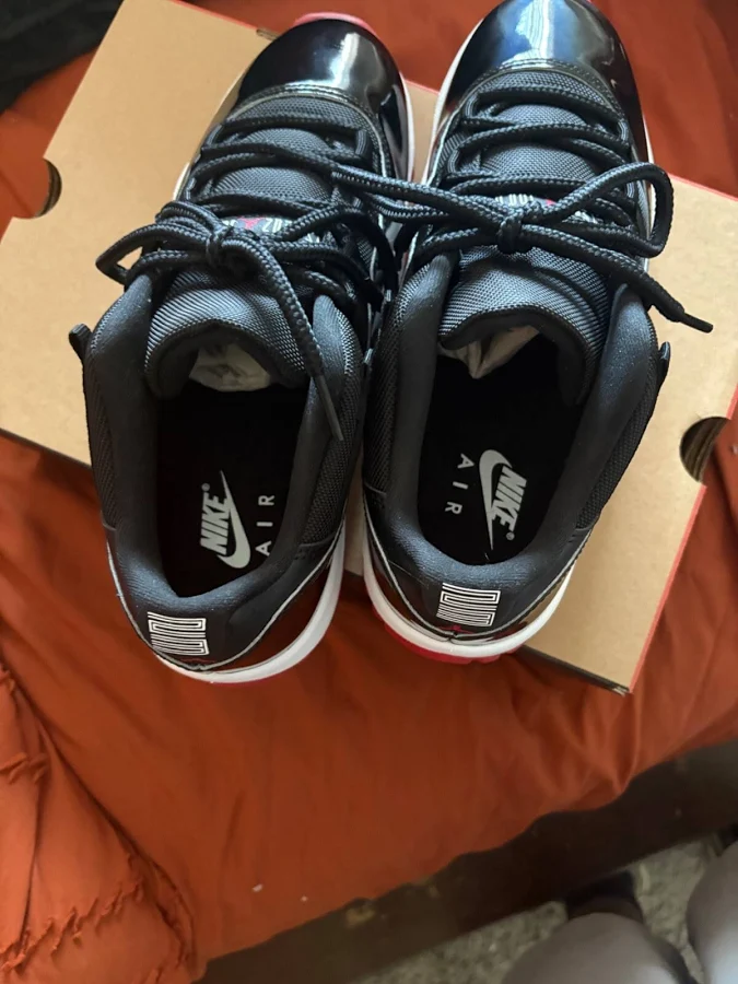 Jordan 11 Low Bred