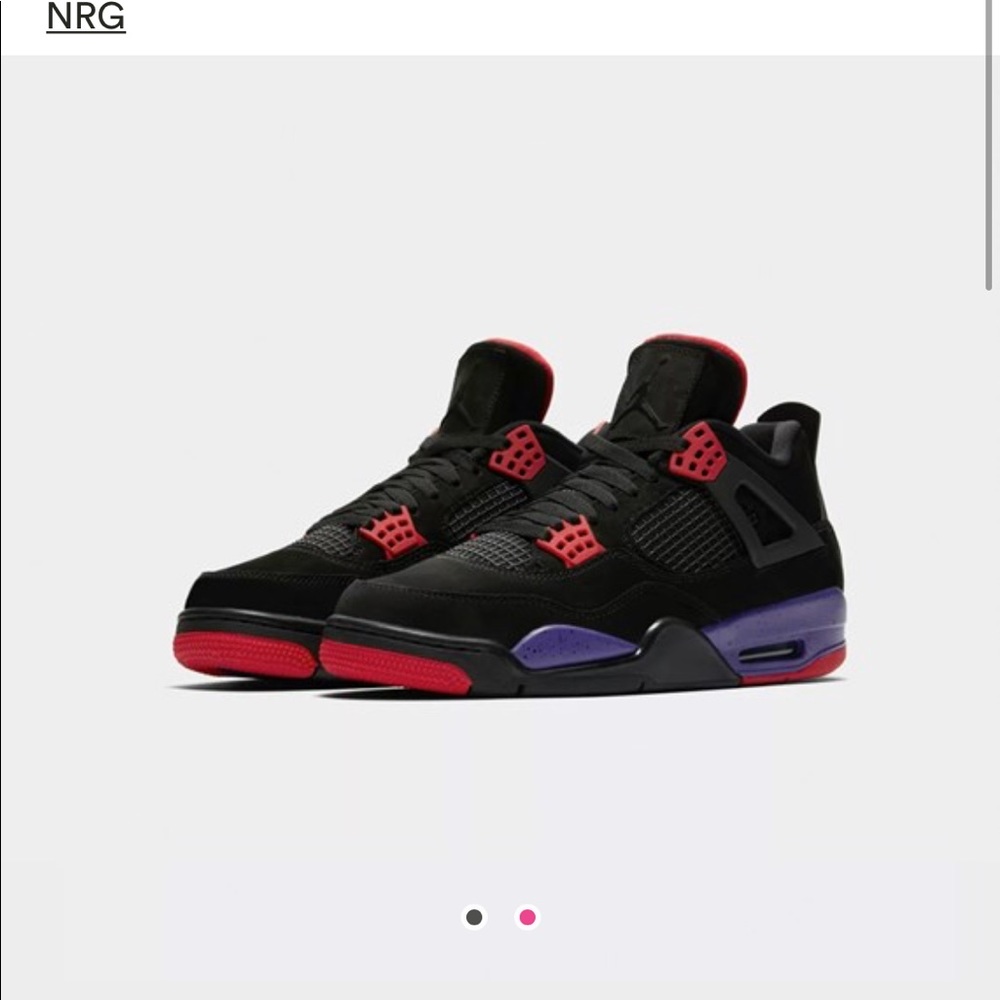 Air Jordan “raptor” 4's