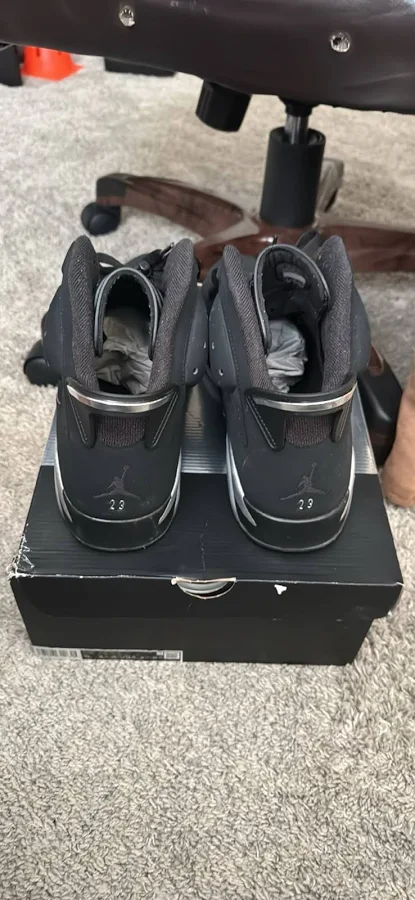 Jordan 6 Chrome