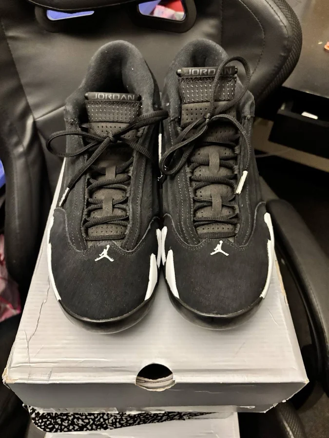 Air Jordan 14 Black/white