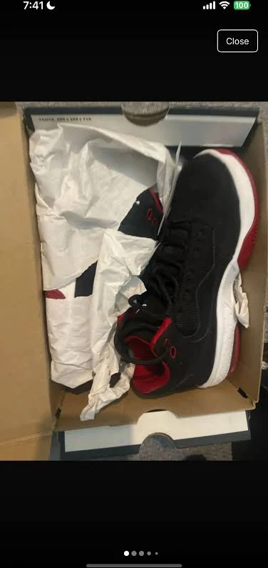 Jordan 21