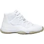 Air Jordan 11 Retro Silver Anniversary 2010