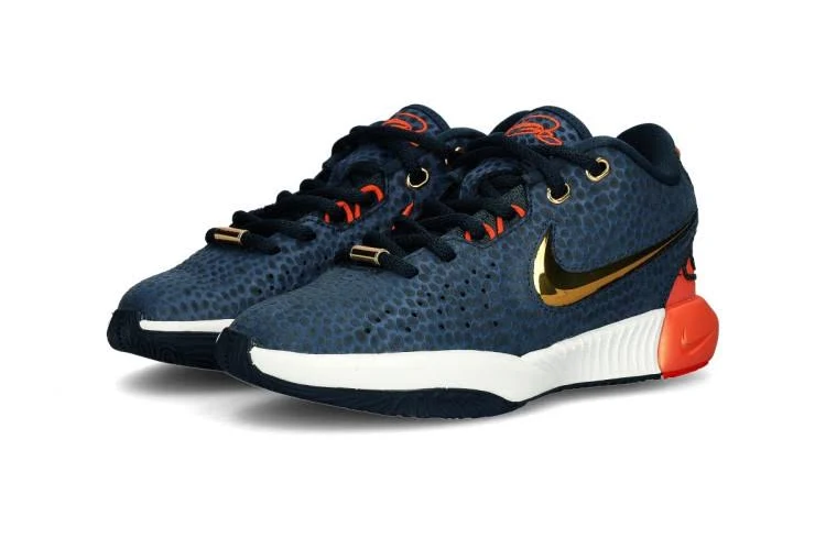Nike Kids Lebron 21 SE Basketball Shoes