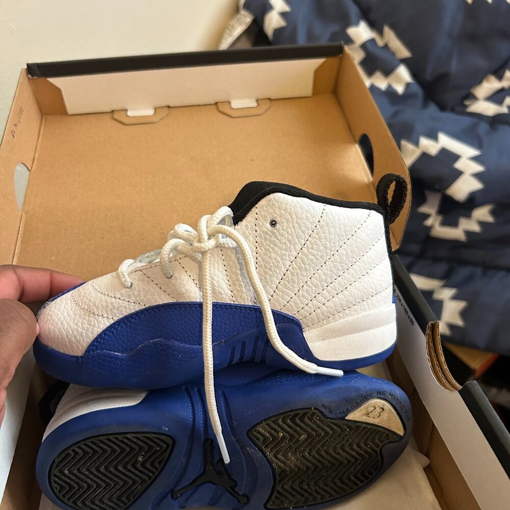 Jordan Retro 12 blueberry