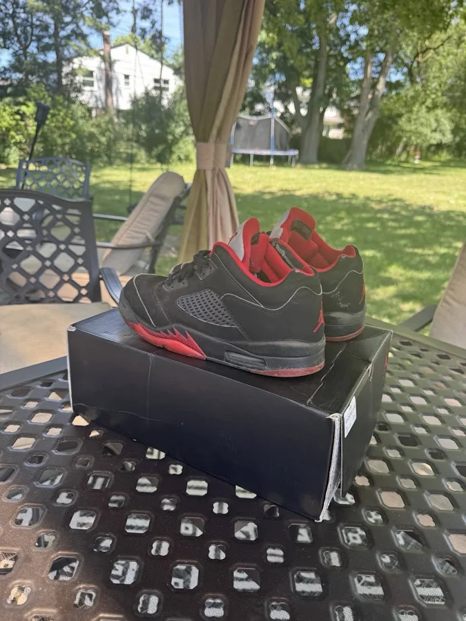 Air Jordan 5 Low