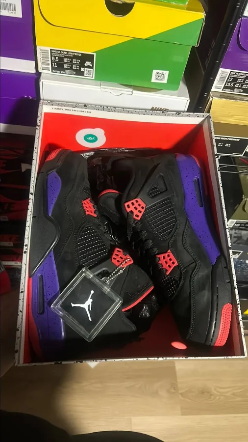 Jordan 4 raptors1