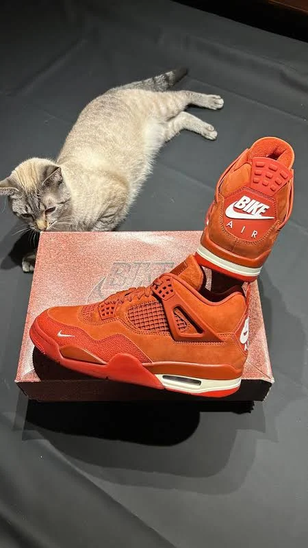 Jordan 4 Brick by Brick Nigel Sylvester