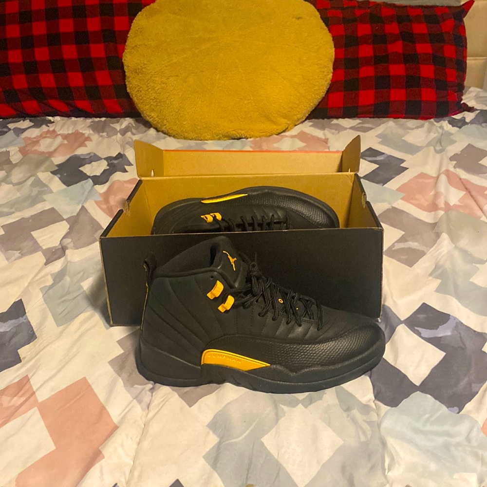 Air Jordan 12 Retro Black Taxi