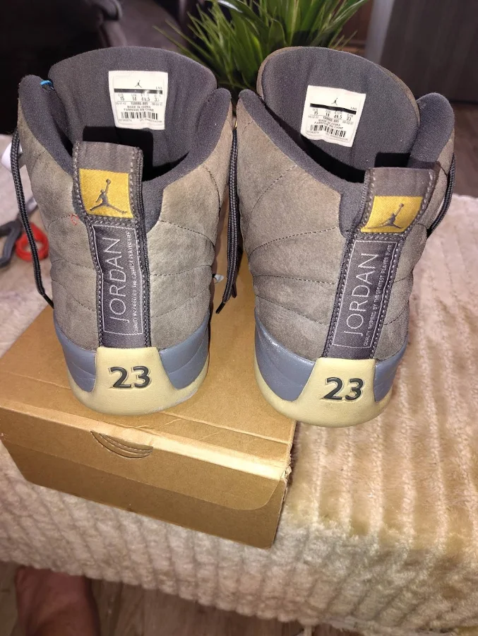 Air Jordan 12 Wolf Gray