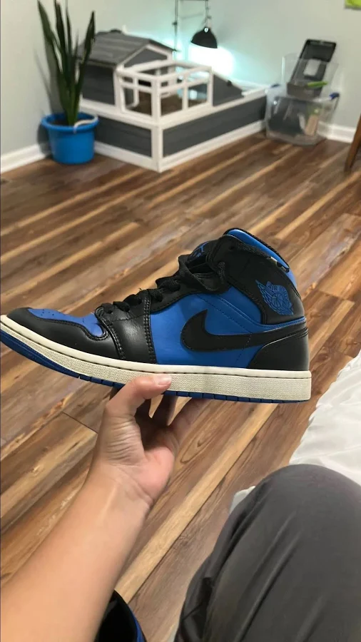 Jordan 1 (2017)