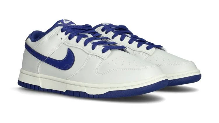 Nike Dunk Low Retro Shoes