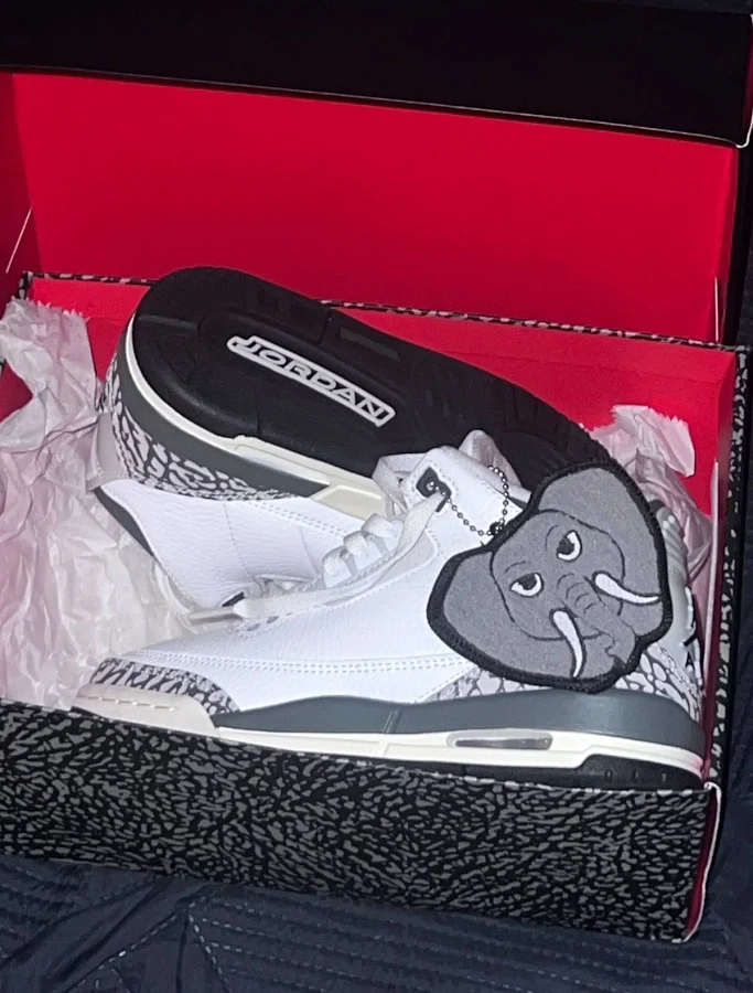 Air Jordan 3 Retro Elephant