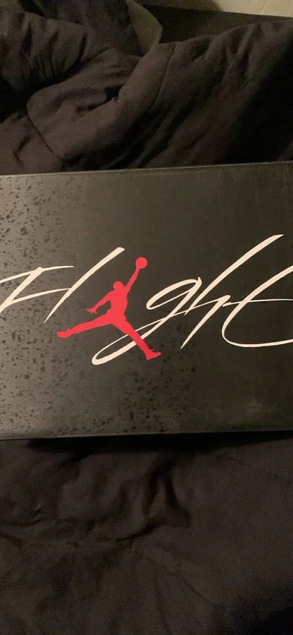 Jordan 4 Red Cement
