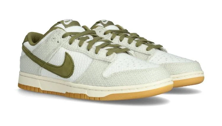Nike Dunk Low Retro Se Shoes