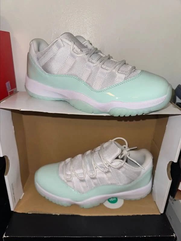 Jordan 11 Igloo1