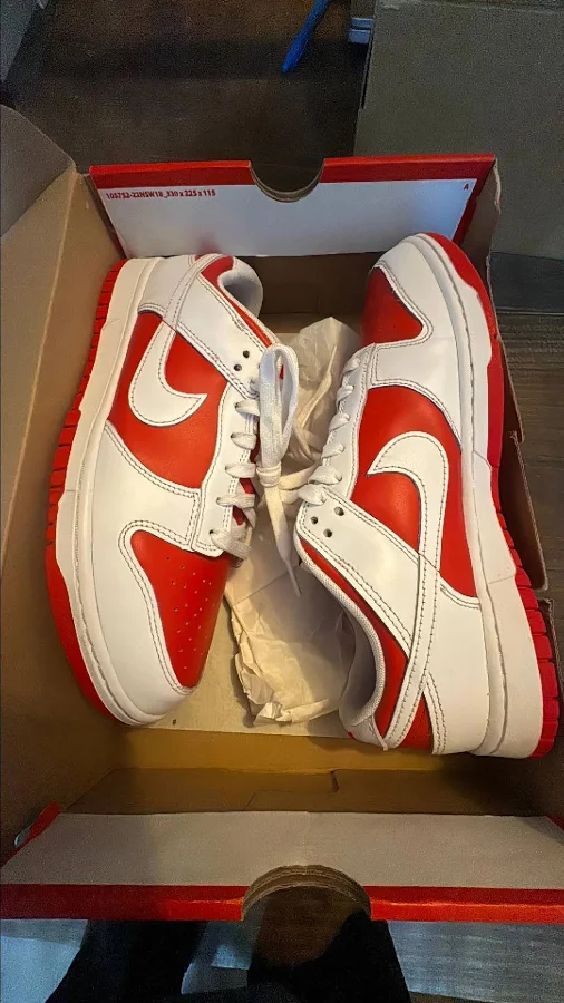 R5- Nike Dunk Low Championship Red1