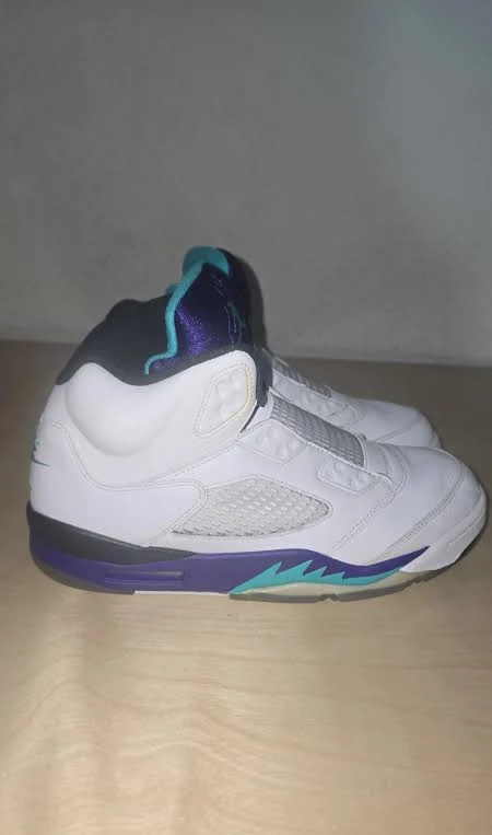 10M Jordan 5 Grape Fresh Prince1