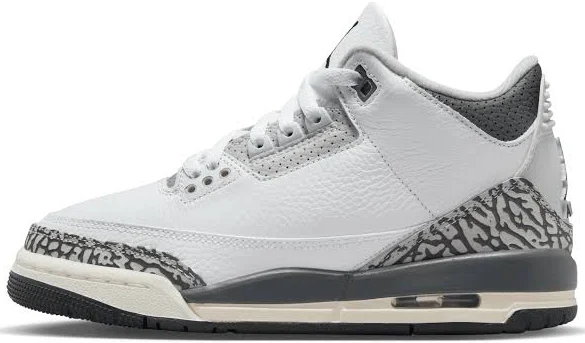 Air Jordan 3 Retro Grade School Hide N Seek (2023)