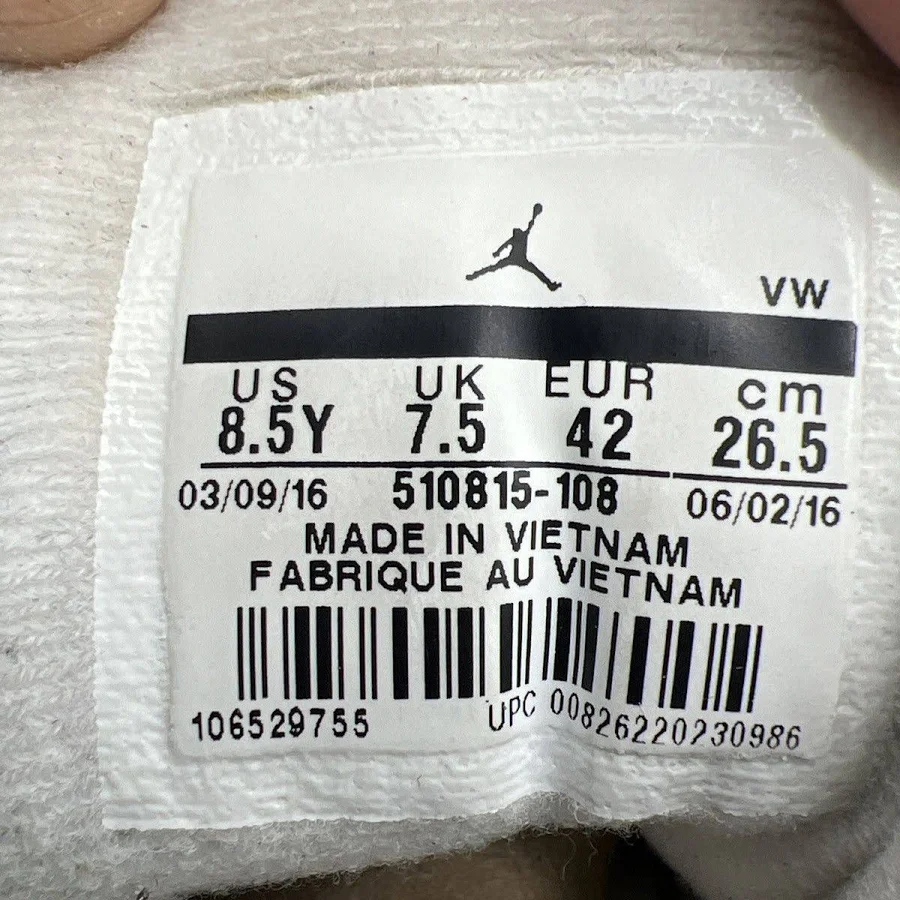 Air Jordan 12 wolf grey