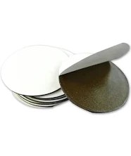 Daisy on the Ohoopee