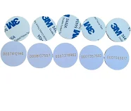 Daisy on the Ohoopee