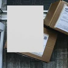 Daisy on the Ohoopee