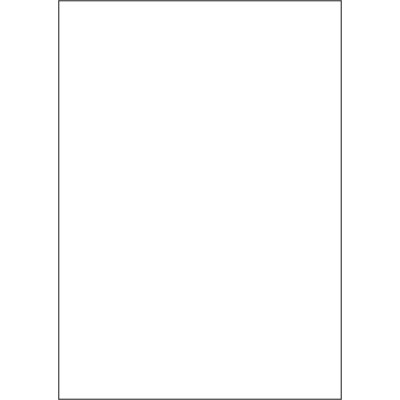 Durable white matte plastic self-adhesive labels 210x297 mm, on A4 sheet, for laser printing