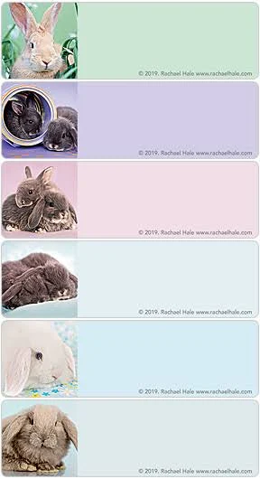 rachaelhale Bunnies Address Labels