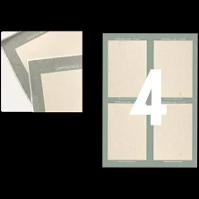 Daisy on the Ohoopee