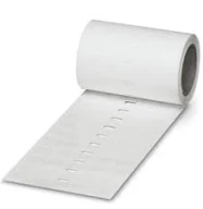 Daisy on the Ohoopee