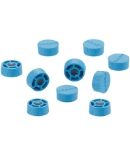 Daisy on the Ohoopee