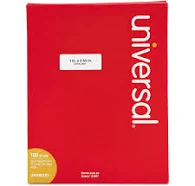 Daisy on the Ohoopee