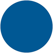 Daisy on the Ohoopee