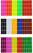 Daisy on the Ohoopee