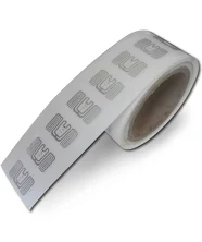 Daisy on the Ohoopee