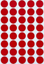 Daisy on the Ohoopee