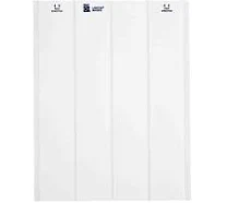 Daisy on the Ohoopee