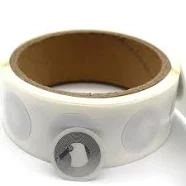 Daisy on the Ohoopee