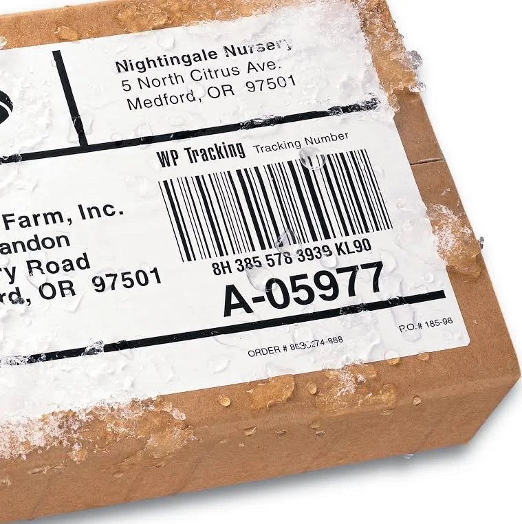 Avery Custom Shipping Roll Sheet Labels