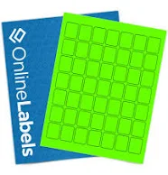 Daisy on the Ohoopee