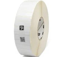 Daisy on the Ohoopee